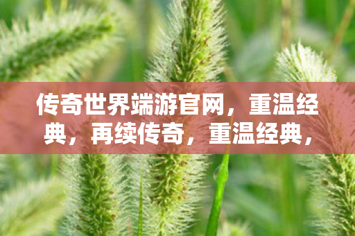 传奇世界端游官网图片