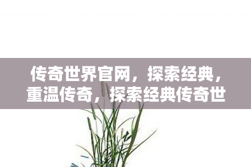 探索经典传奇世界图片