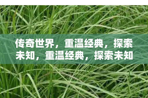 传奇世界的奇幻之旅图片
