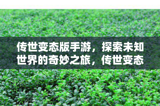 探索未知世界的奇妙之旅图片