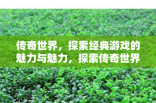探索经典游戏的魅力与魅力图片