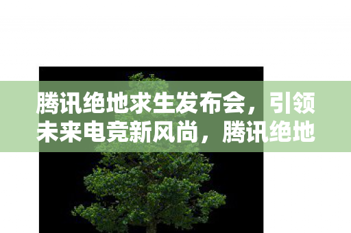 腾讯绝地求生发布会,引领未来电竞新风尚,腾讯绝地求生发布会,引领未来电竞新风尚 腾讯绝地求生发布会,引领未来电竞新风尚,腾讯绝地求生发布会,引领未来电竞新风尚