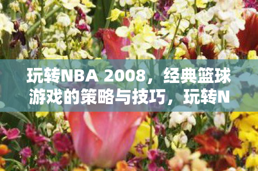 玩转NBA 2008,经典篮球游戏的策略与技巧,玩转NBA 2008,经典篮球游戏的策略与技巧全解析 玩转NBA 2008,经典篮球游戏的策略与技巧,玩转NBA 2008,经典篮球游戏的策略与技巧全解析