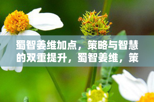 蜀智姜维加点,策略与智慧的双重提升,蜀智姜维,策略与智慧的双重提升 蜀智姜维加点,策略与智慧的双重提升,蜀智姜维,策略与智慧的双重提升