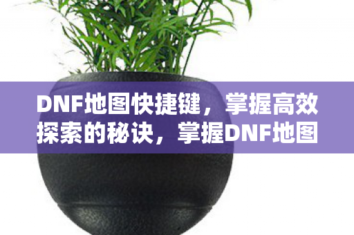掌握DNF地图快捷键图片