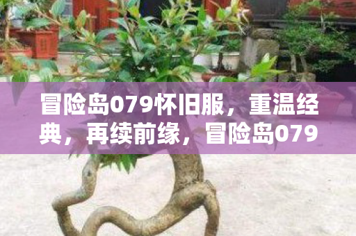 冒险岛079怀旧服图片