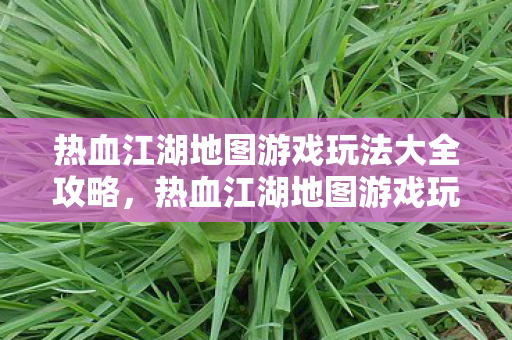 热血江湖地图游戏玩法大全攻略图片
