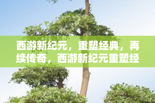 西游新纪元,重塑经典,再续传奇,西游新纪元重塑经典,再续传奇 西游新纪元,重塑经典,再续传奇,西游新纪元重塑经典,再续传奇