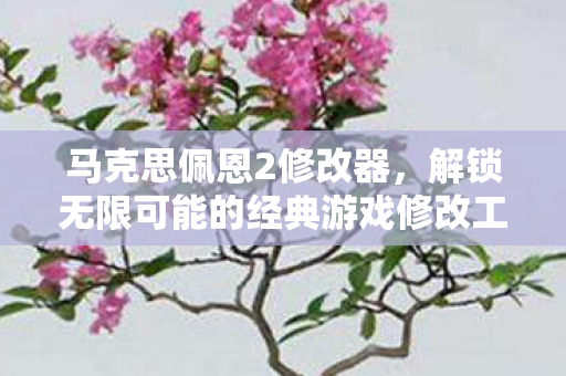 马克思佩恩2修改器，解锁无限可能的经典游戏修改工具，解锁无限可能，马克思佩恩2修改器，打造经典游戏新体验