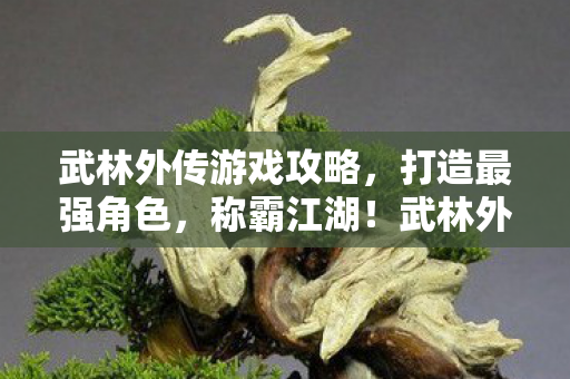 武林外传游戏攻略，打造最强角色，称霸江湖！武林外传，打造最强角色，称霸江湖的攻略指南