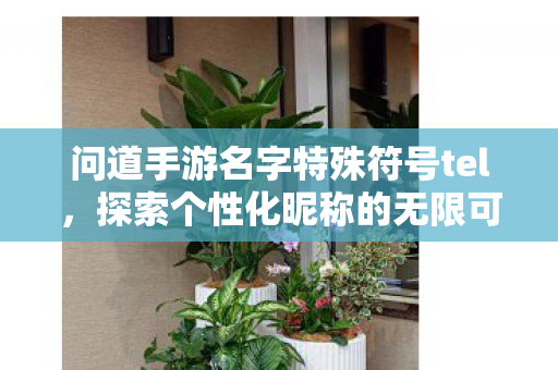 问道手游名字特殊符号tel，探索个性化昵称的无限可能，探索个性化昵称，问道手游名字特殊符号tel的无限创意