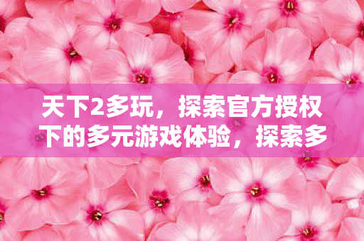 天下2多玩,探索官方授权下的多元游戏体验,探索多元游戏体验,天下2多玩官方授权平台 天下2多玩,探索官方授权下的多元游戏体验,探索多元游戏体验,天下2多玩官方授权平台
