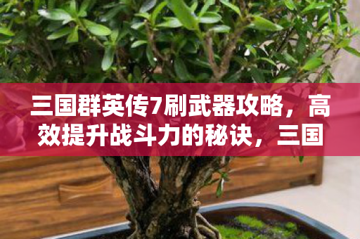 三国群英传7刷武器攻略,高效提升战斗力的秘诀,三国群英传7高效刷武器攻略,提升战斗力秘诀大公开 三国群英传7刷武器攻略,高效提升战斗力的秘诀,三国群英传7高效刷武器攻略,提升战斗力秘诀大公开