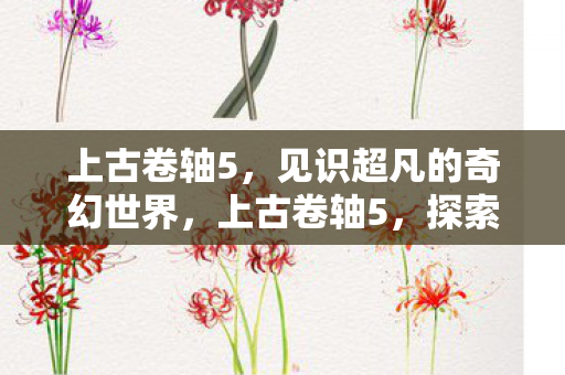 上古卷轴5,见识超凡的奇幻世界,上古卷轴5,探索奇幻世界的超凡体验 上古卷轴5,见识超凡的奇幻世界,上古卷轴5,探索奇幻世界的超凡体验