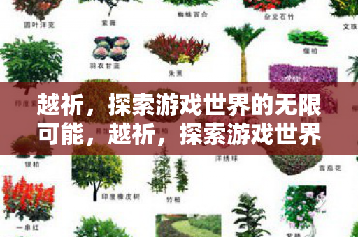 越祈，探索游戏世界的无限可能，越祈，探索游戏世界的无限可能