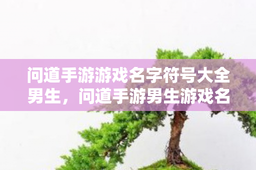 问道手游游戏名字符号大全男生图片