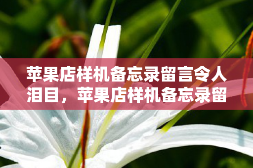 苹果店样机备忘录留言令人泪目,苹果店样机备忘录留言感动网友 苹果店样机备忘录留言令人泪目,苹果店样机备忘录留言感动网友