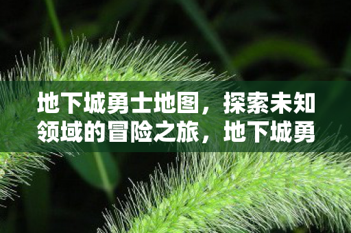 探索未知领域的冒险之旅图片