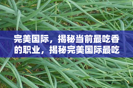 完美国际,揭秘当前最吃香的职业,揭秘完美国际最吃香职业,谁才是游戏界的香饽饽? 完美国际,揭秘当前最吃香的职业,揭秘完美国际最吃香职业,谁才是游戏界的香饽饽?
