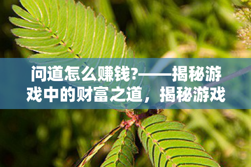 揭秘游戏中的财富之道图片