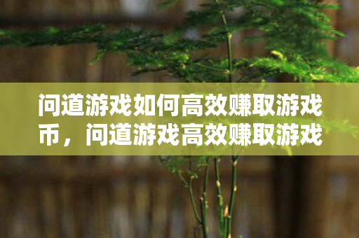 问道游戏如何高效赚取游戏币图片
