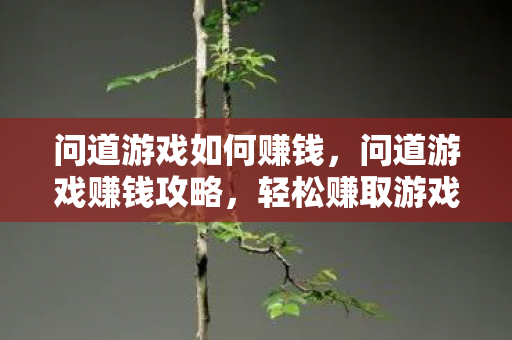 问道游戏如何赚钱图片