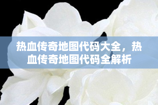 热血传奇地图代码全解析图片