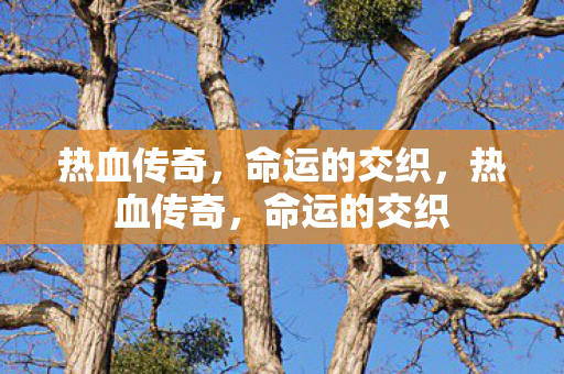 命运的交织图片