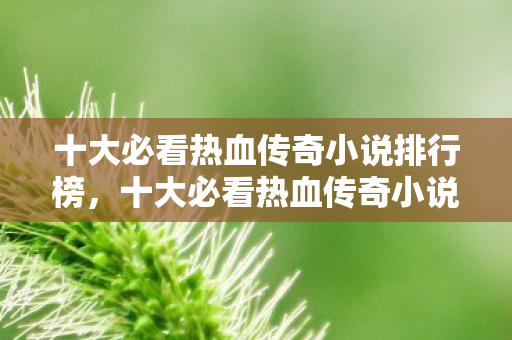 十大必看热血传奇小说排行榜揭晓图片