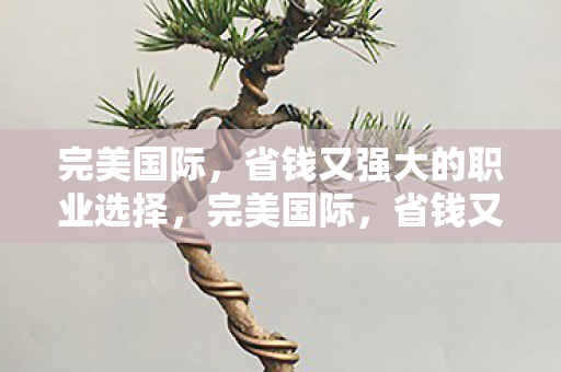 完美国际,省钱又强大的职业选择,完美国际,省钱又强大的职业选择指南 完美国际,省钱又强大的职业选择,完美国际,省钱又强大的职业选择指南