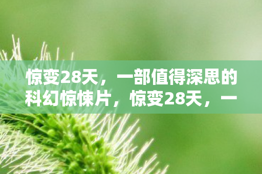 惊变28天,一部值得深思的科幻惊悚片,惊变28天,一部引人深思的科幻惊悚佳作 惊变28天,一部值得深思的科幻惊悚片,惊变28天,一部引人深思的科幻惊悚佳作