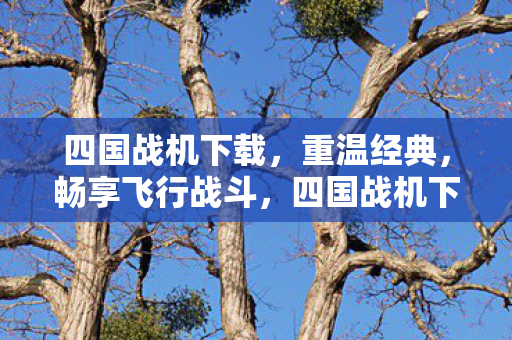 四国战机下载,重温经典,畅享飞行战斗,四国战机下载,重温经典,畅享飞行战斗 四国战机下载,重温经典,畅享飞行战斗,四国战机下载,重温经典,畅享飞行战斗