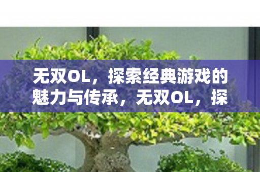 无双OL,探索经典游戏的魅力与传承,无双OL,探索经典游戏的魅力与传承 无双OL,探索经典游戏的魅力与传承,无双OL,探索经典游戏的魅力与传承