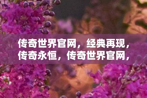 传奇世界官网图片