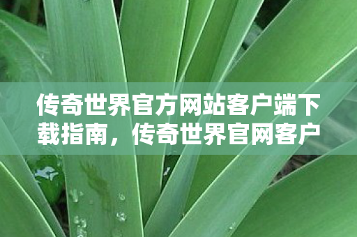 传奇世界官方网站客户端下载指南图片