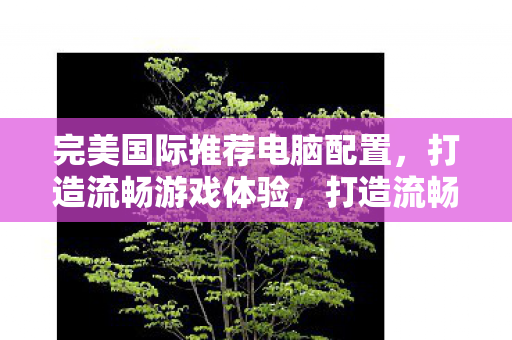 完美国际推荐电脑配置,打造流畅游戏体验,打造流畅游戏体验,完美国际推荐电脑配置 完美国际推荐电脑配置,打造流畅游戏体验,打造流畅游戏体验,完美国际推荐电脑配置