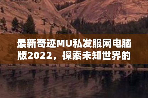 最新奇迹MU私发服网电脑版2022图片