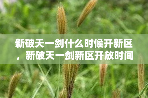 新破天一剑新区开放时间预告图片