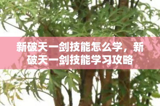 新破天一剑技能学习攻略图片