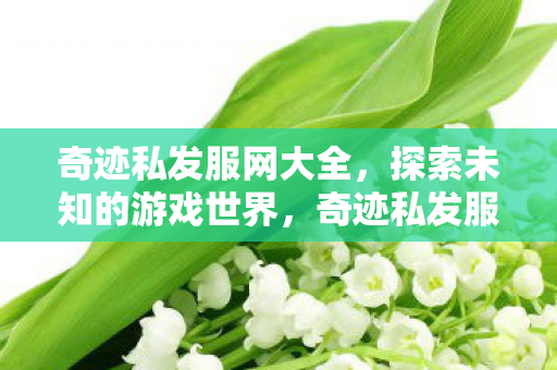 奇迹私发服网大全,探索未知的游戏世界,奇迹私发服网大全,解锁未知游戏世界的神秘大门 奇迹私发服网大全,探索未知的游戏世界,奇迹私发服网大全,解锁未知游戏世界的神秘大门