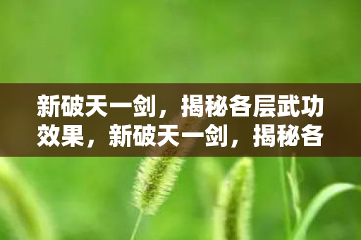 揭秘各层武功效果图片