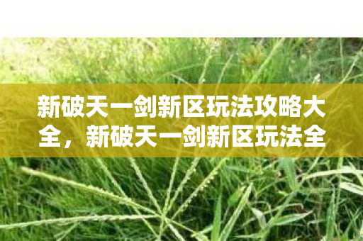 新破天一剑新区玩法攻略大全图片