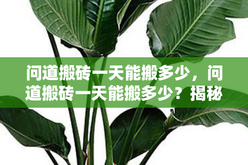 问道搬砖一天能搬多少图片