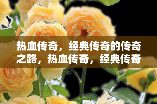 经典传奇的传奇之路图片