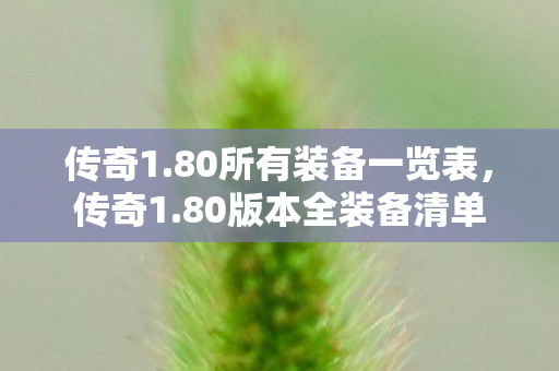 80所有装备一览表图片