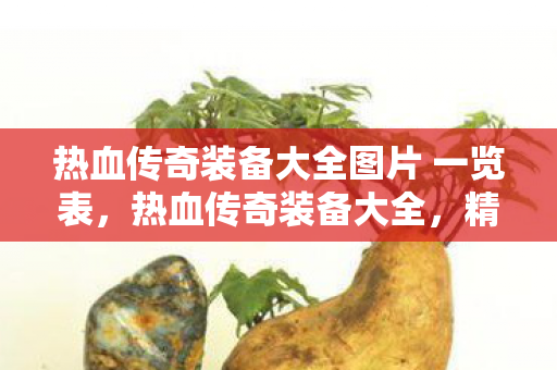 热血传奇装备大全图片 一览表图片