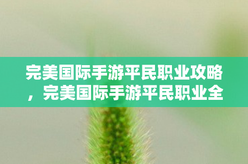 完美国际手游平民职业攻略，完美国际手游平民职业全解析