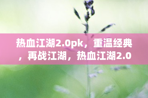 热血江湖2图片