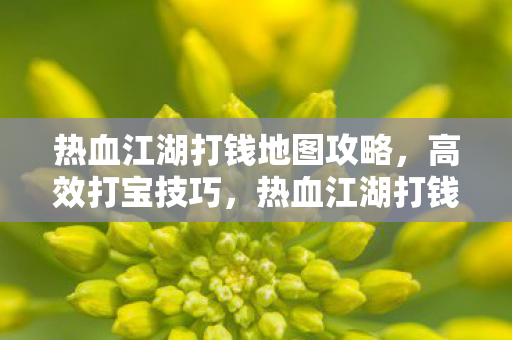 热血江湖打钱地图攻略图片