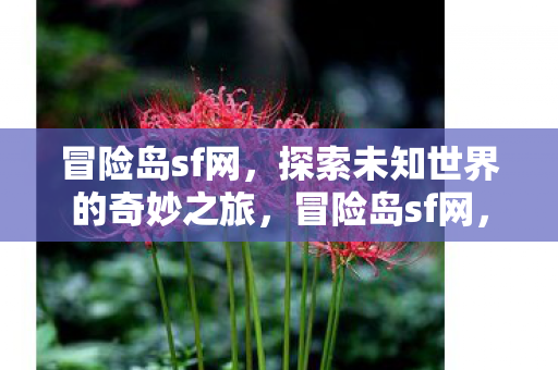 开启探索未知世界的奇妙之旅图片